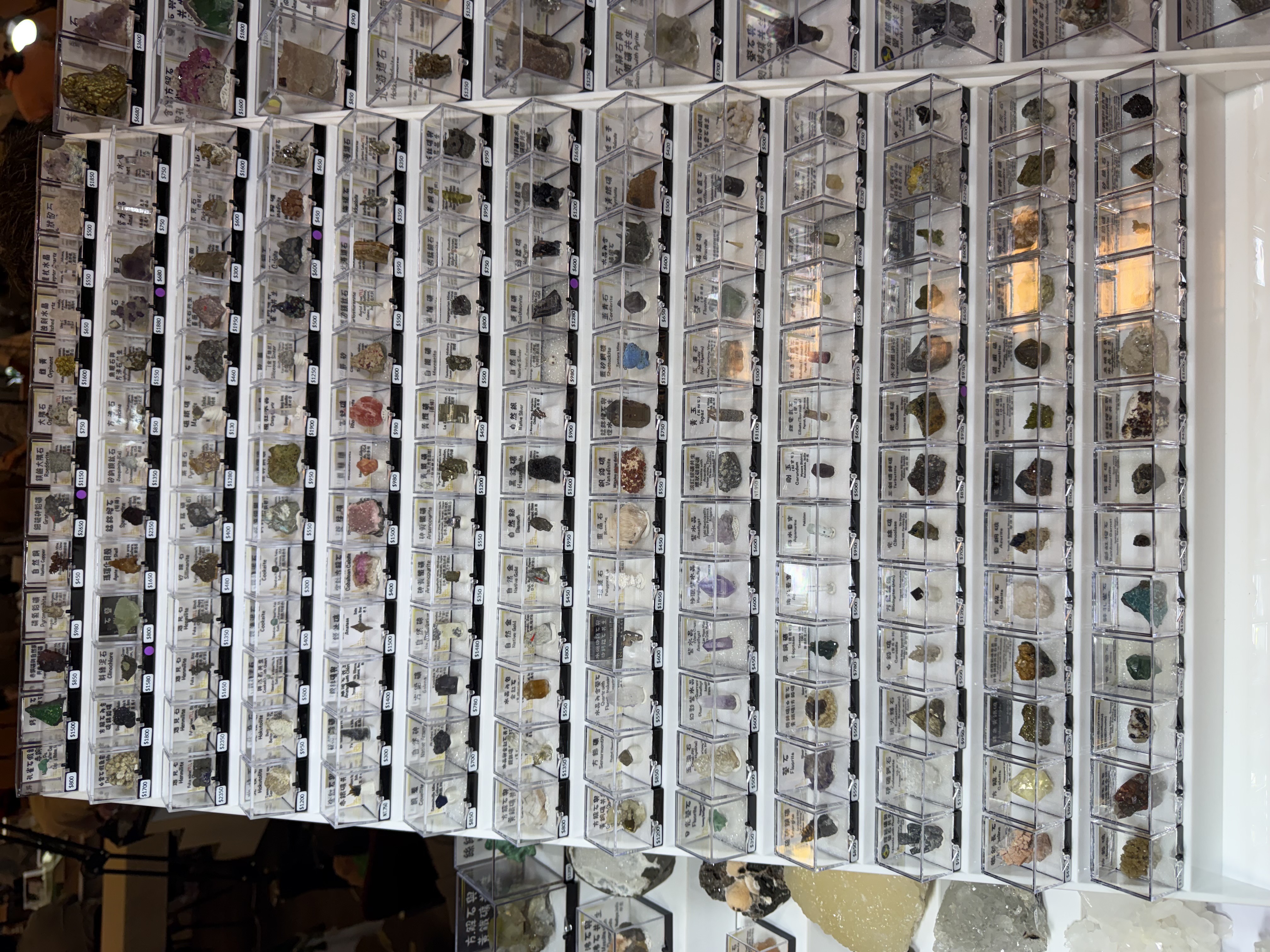 ViN晶礦 — 大面積標本展示盒牆，紫水晶、螢石、黃鐵礦等各式礦物